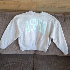 Grayson Threads Light Gray Sweatshirt